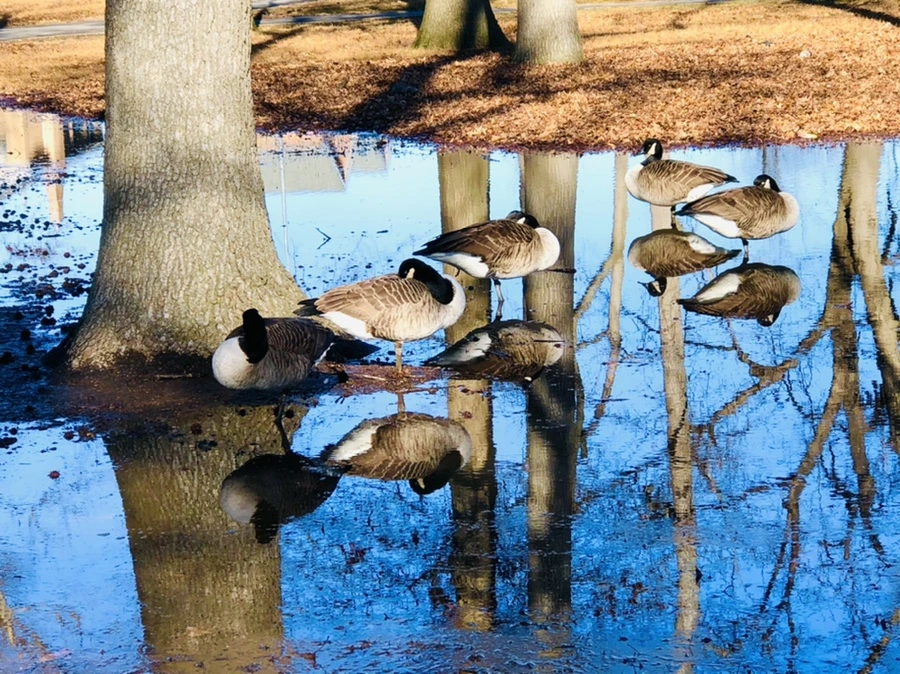 IMG_9788.jpg?type=w966