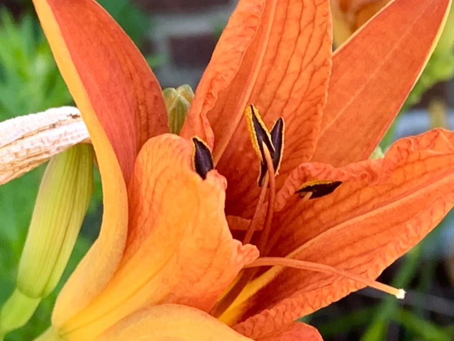 IMG_4870.jpg?type=w966