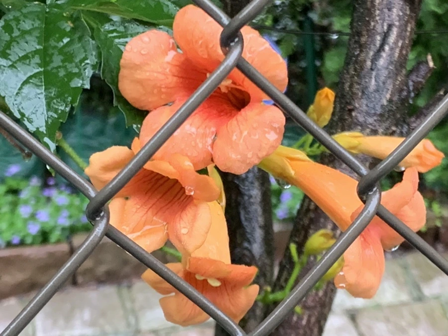 IMG_3843.jpg?type=w966