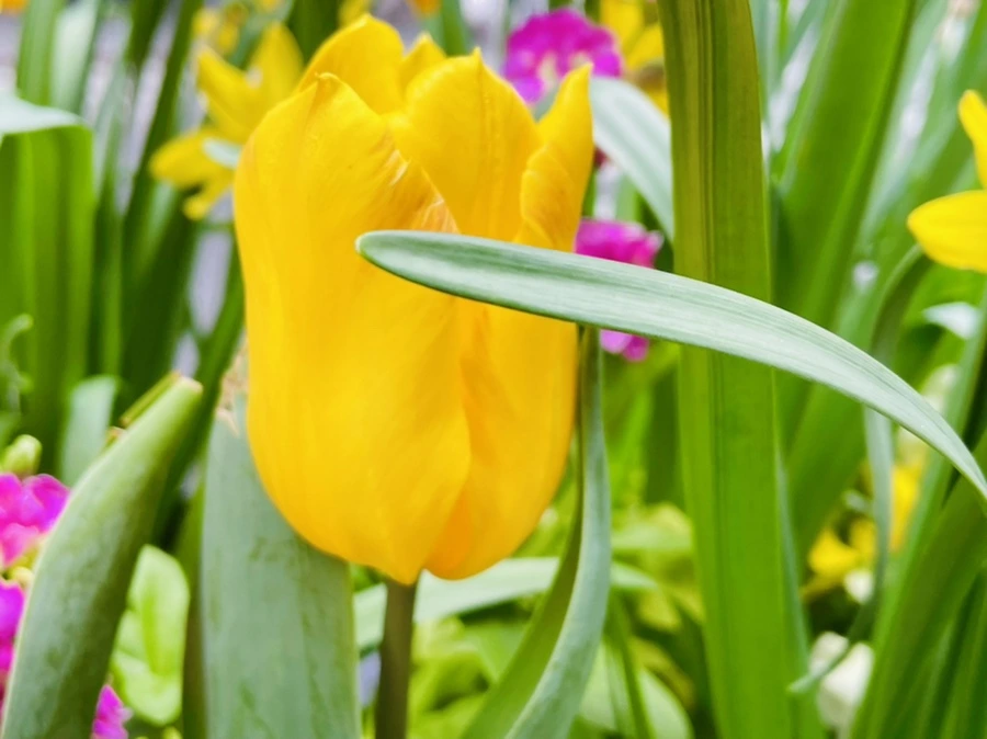 IMG_1700.jpg?type=w966