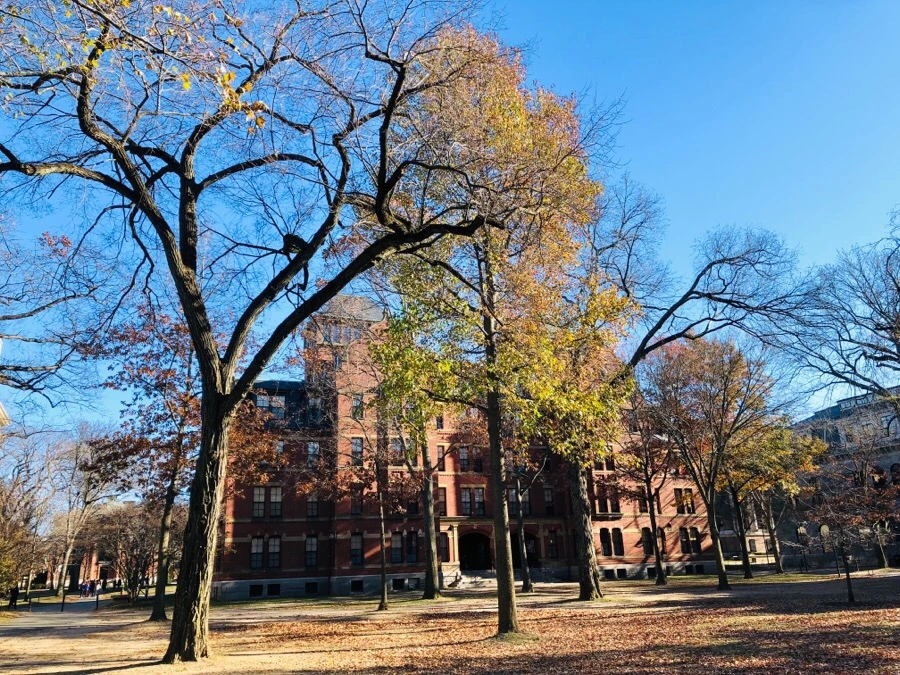 IMG_7969.jpg?type=w966