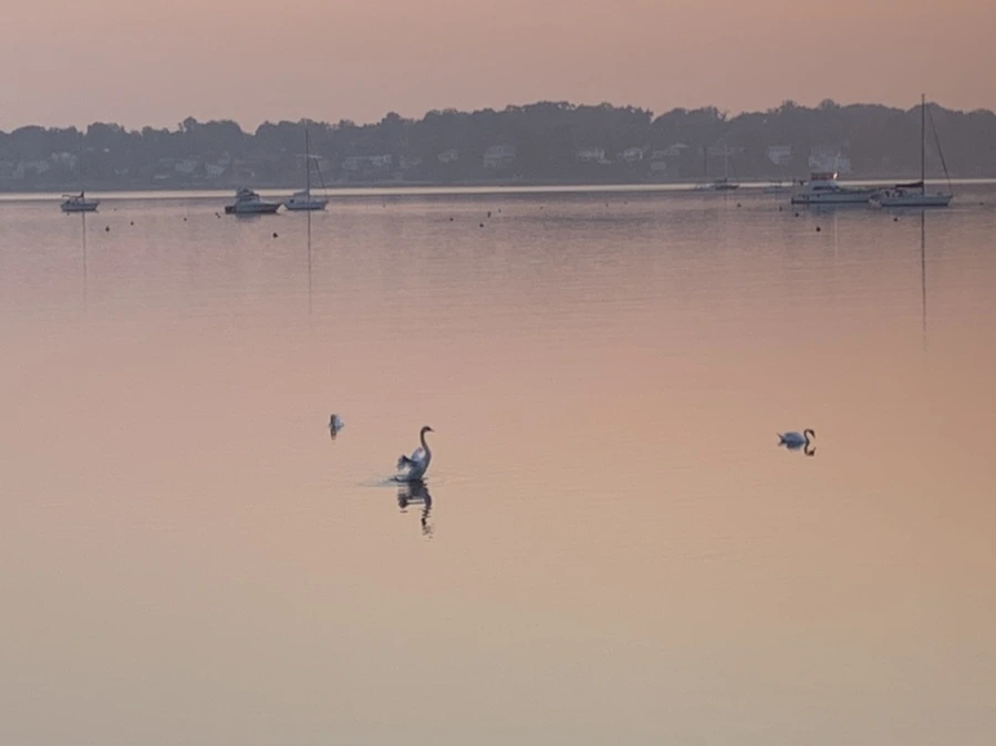 IMG_2077.jpg?type=w966