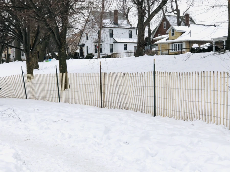 IMG_2418.jpg?type=w966