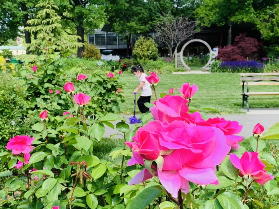 IMG_5759.jpg?type=w966