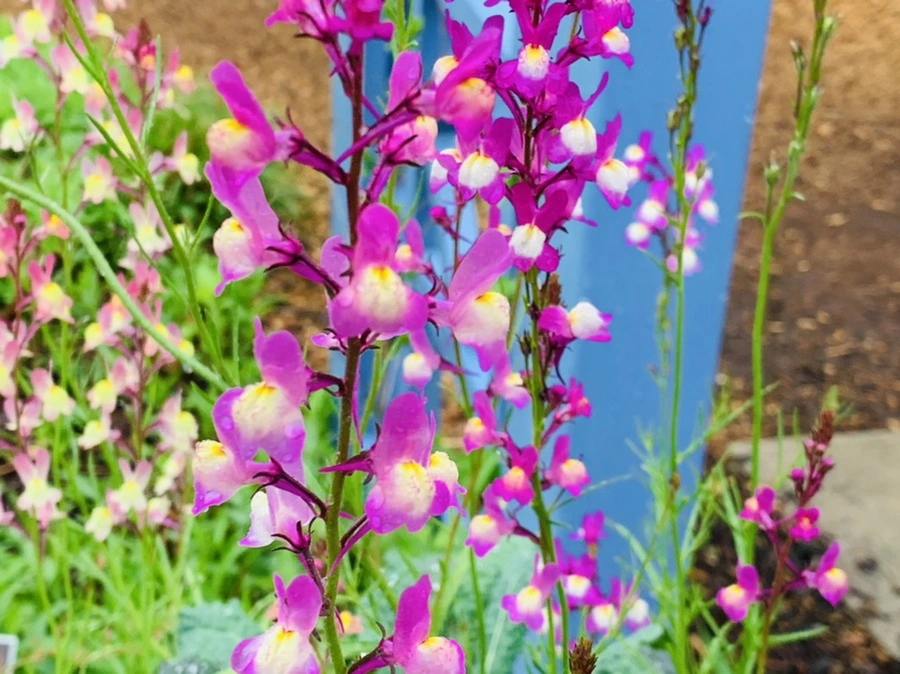 IMG_9834.jpg?type=w966