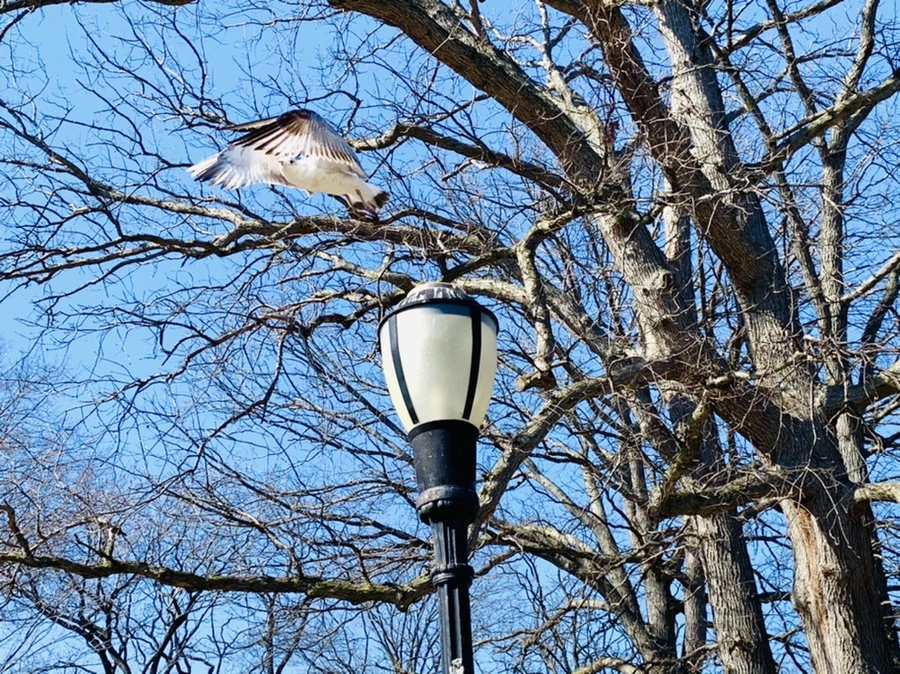 IMG_9578.jpg?type=w966