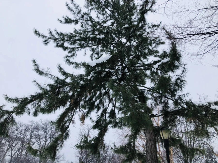 IMG_1535.jpg?type=w966