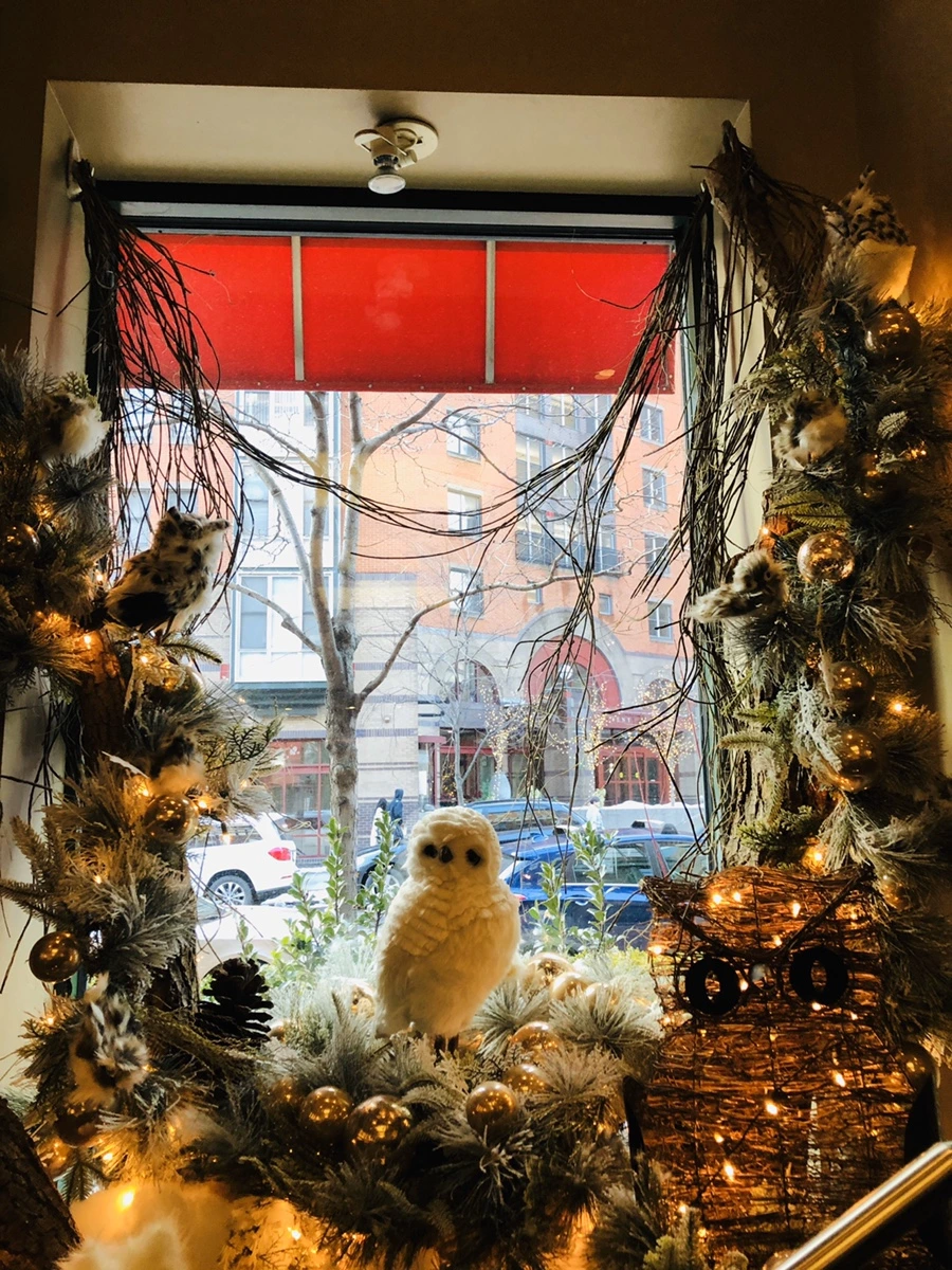 IMG_2749.jpg?type=w966