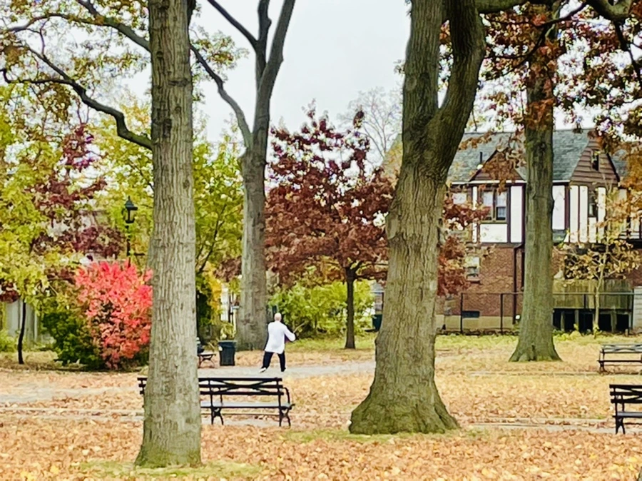 IMG_4491.jpg?type=w966