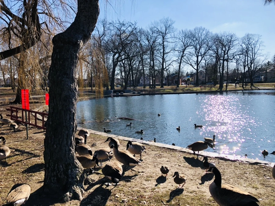 IMG_0231.jpg?type=w966