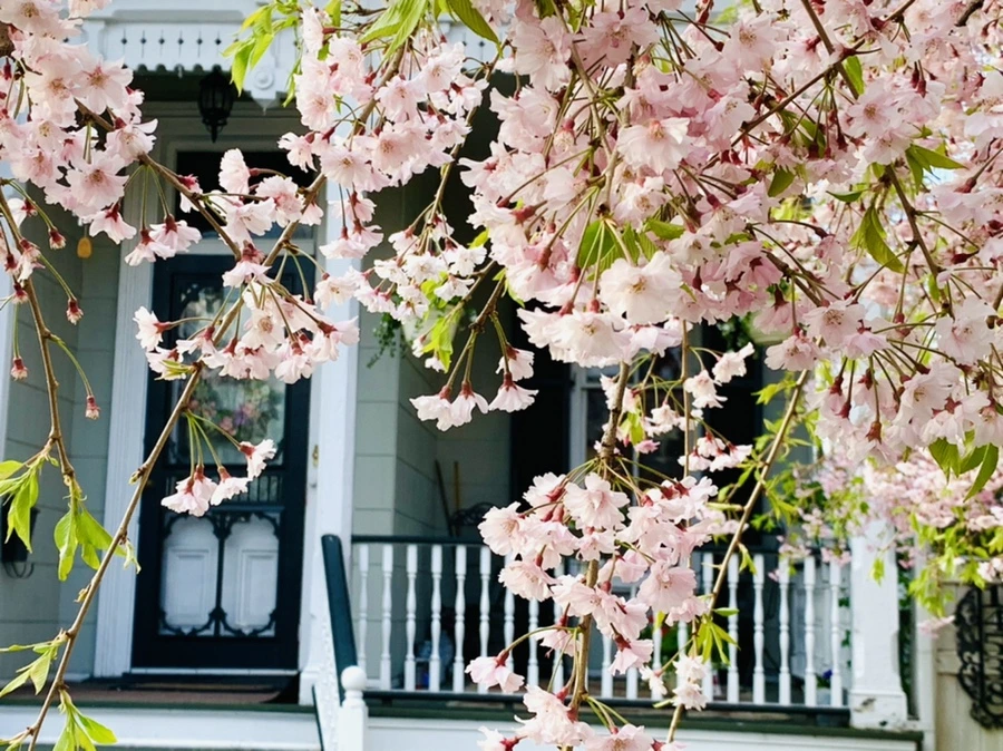 IMG_3707.jpg?type=w966