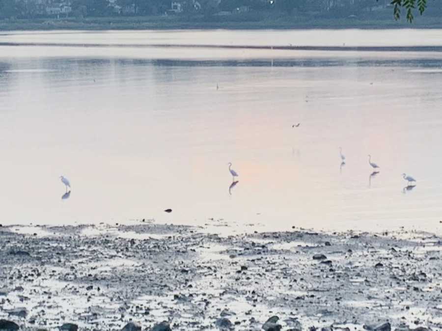 IMG_8171.jpg?type=w966