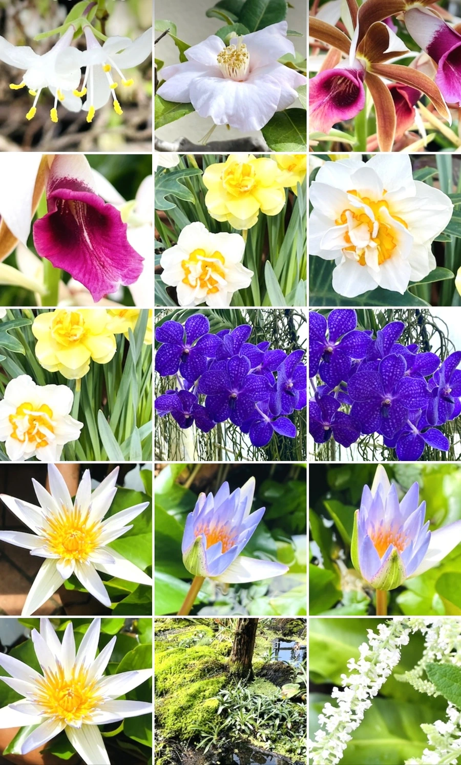 IMG_4263.jpg?type=w966