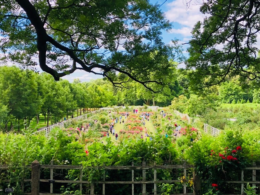 IMG_7913.jpg?type=w966