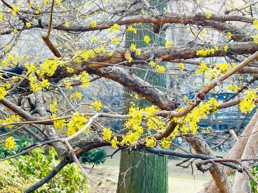 IMG_5395.jpg?type=w966