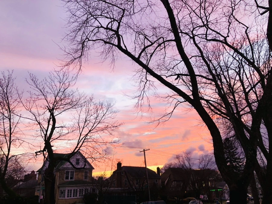 IMG_8261.jpg?type=w966