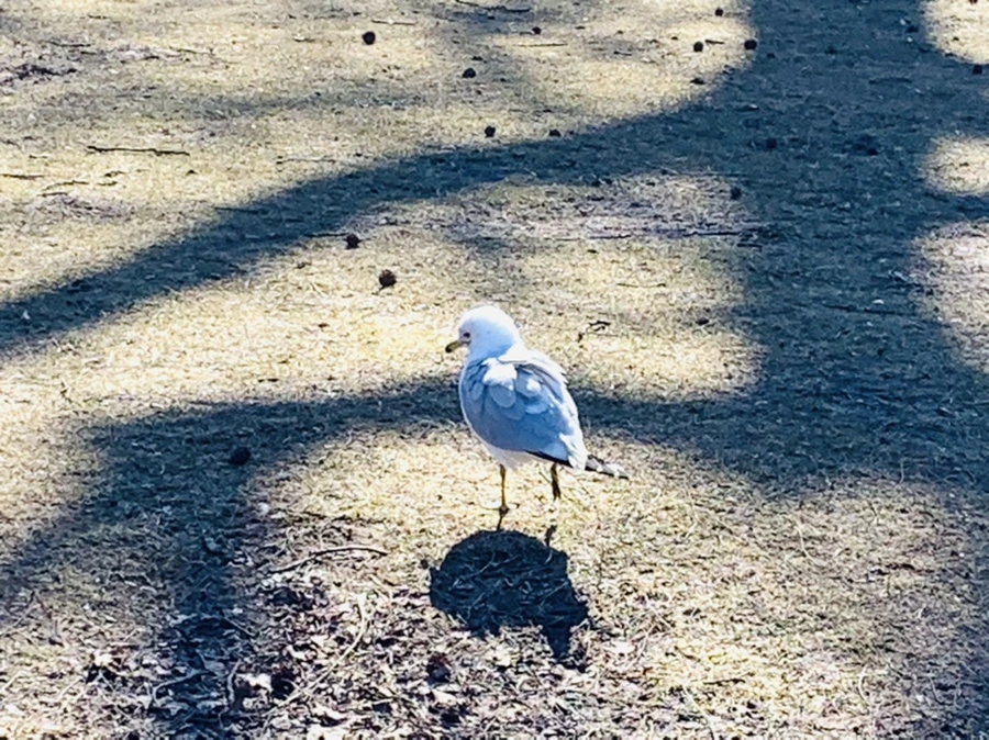 IMG_8898.jpg?type=w966