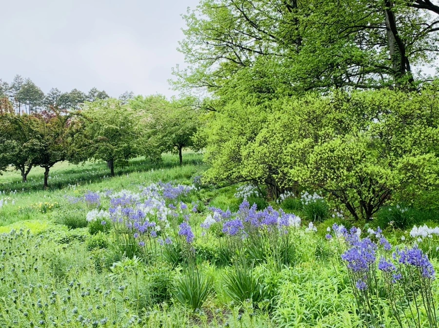 IMG_9910.jpg?type=w966