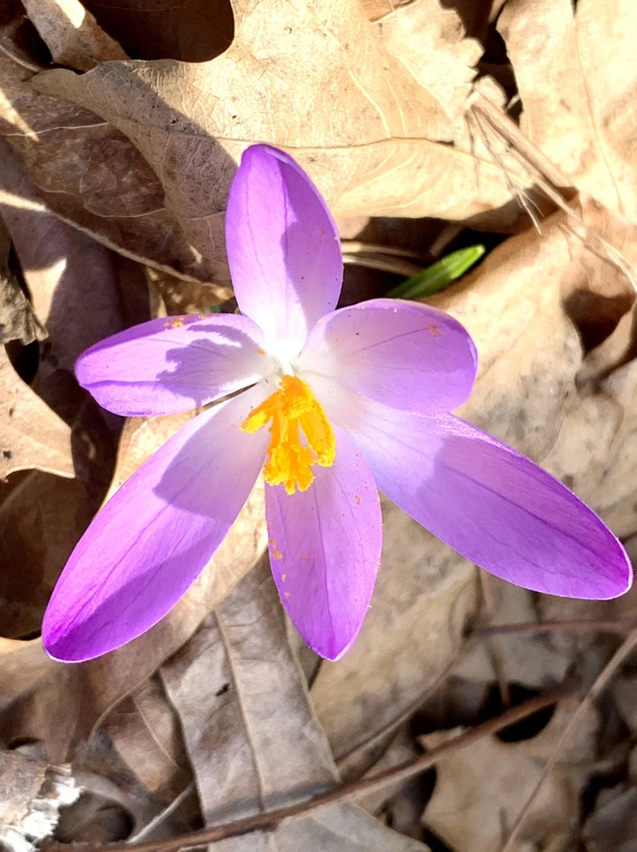 IMG_9630.jpg?type=w966