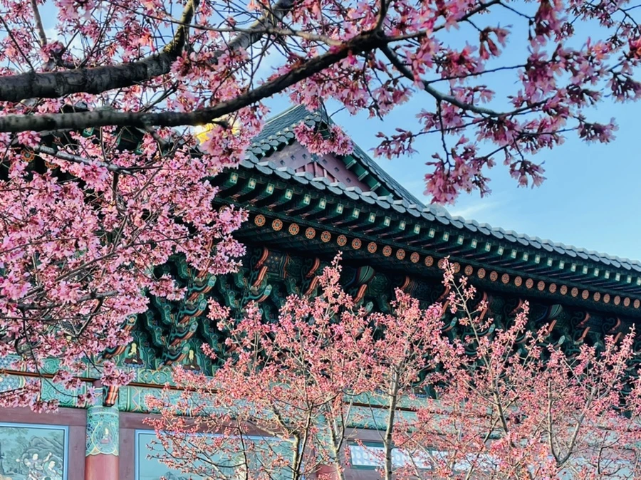 IMG_6096.jpg?type=w966