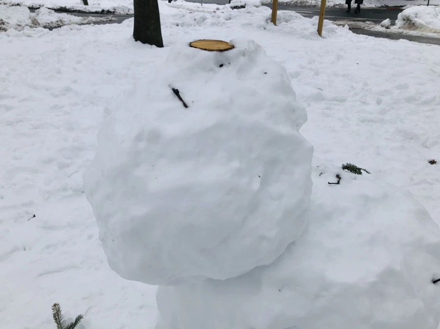 IMG_1559.jpg?type=w966