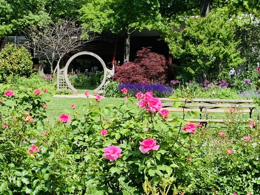 IMG_5807.jpg?type=w966