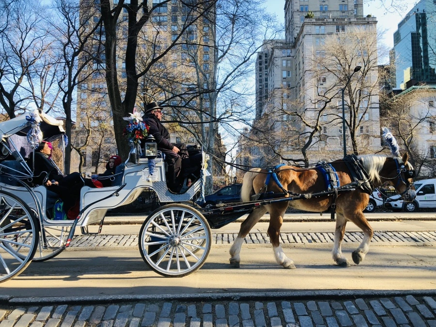 IMG_8613.jpg?type=w966