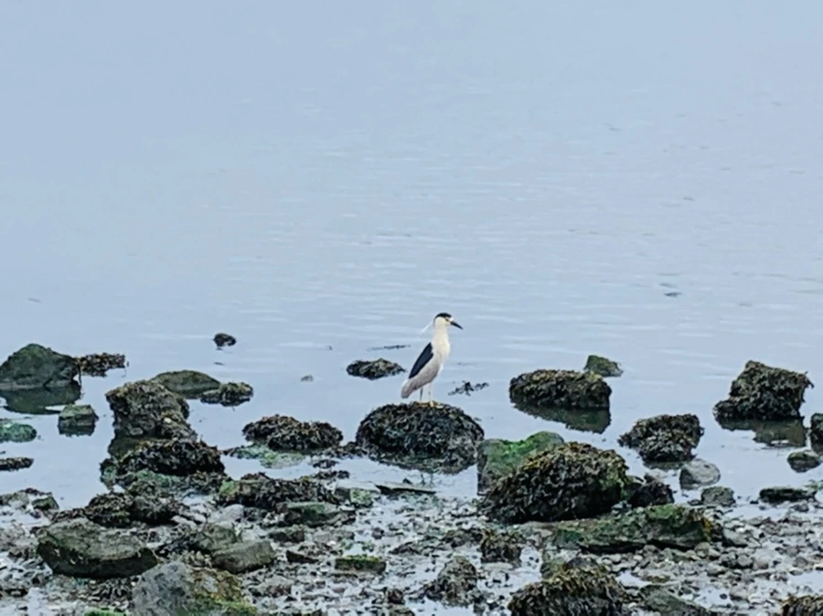 IMG_4789.jpg?type=w966