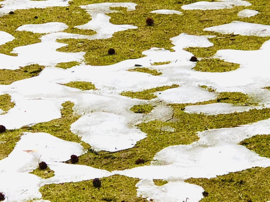 IMG_6308.jpg?type=w966