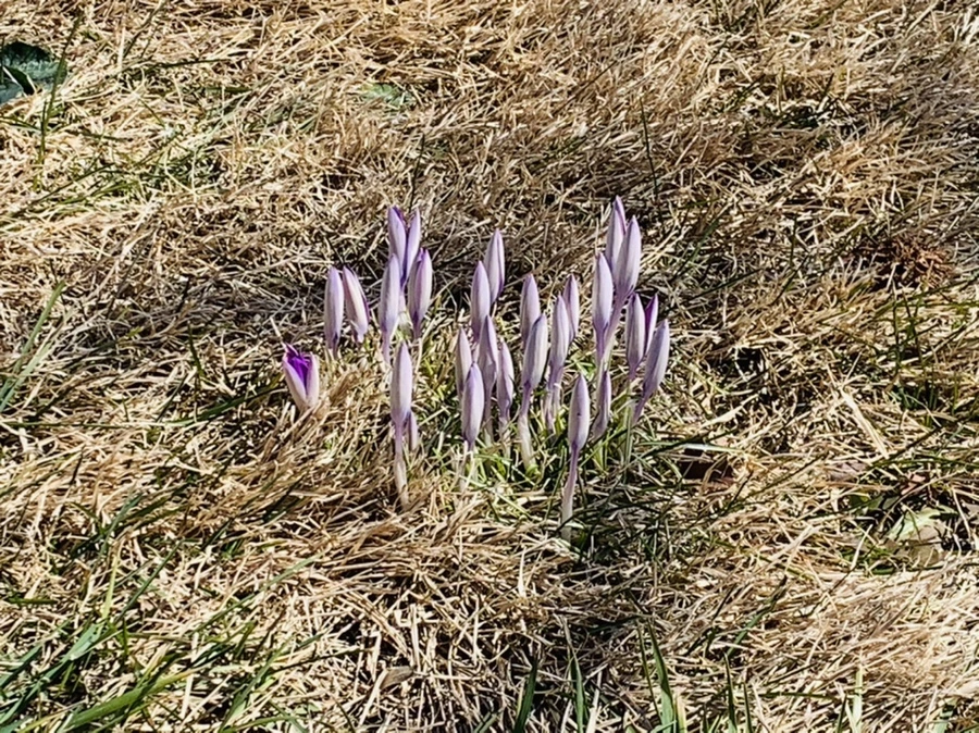 IMG_8241.jpg?type=w966