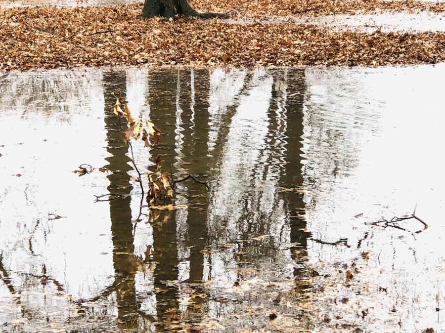 IMG_3391.jpg?type=w966