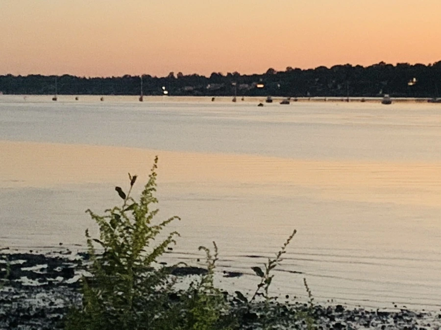 IMG_8510.jpg?type=w966