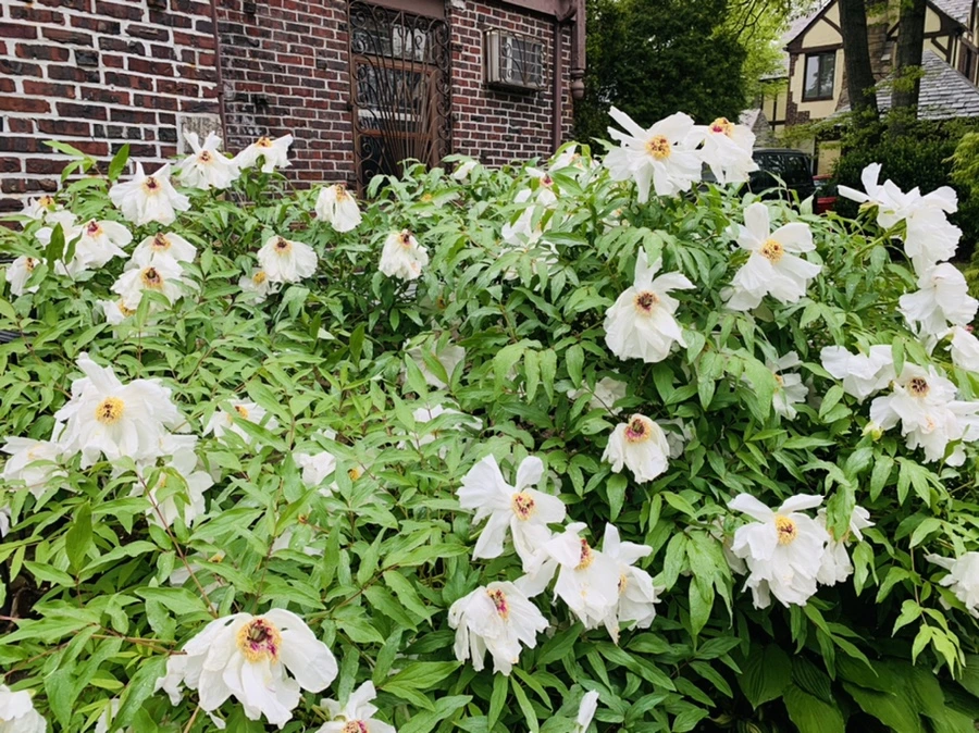 IMG_9667.jpg?type=w966