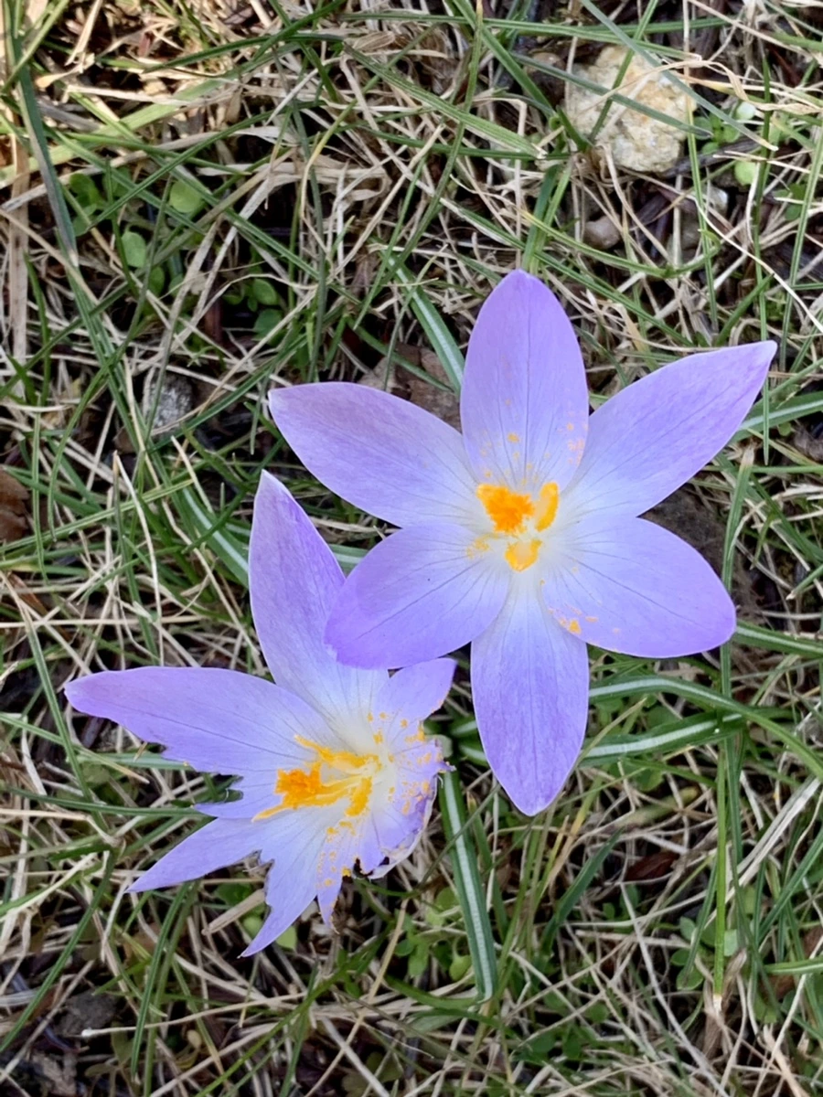 IMG_9231.jpg?type=w966