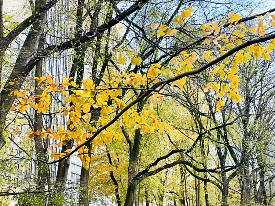 IMG_5291.jpg?type=w966