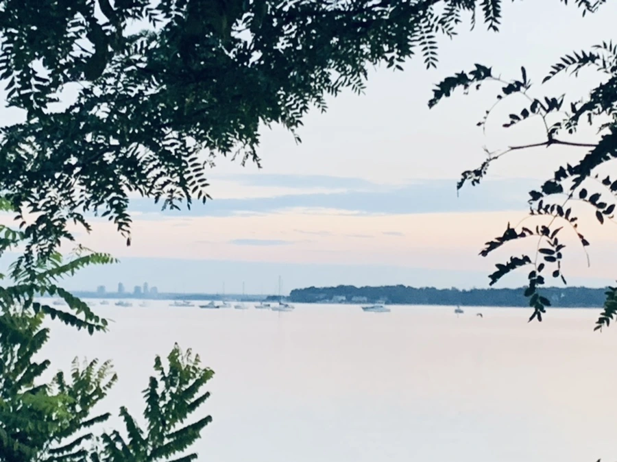 IMG_0900.jpg?type=w966