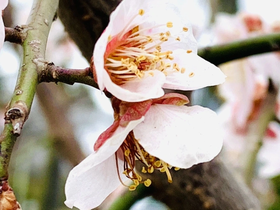 IMG_3645.jpg?type=w966