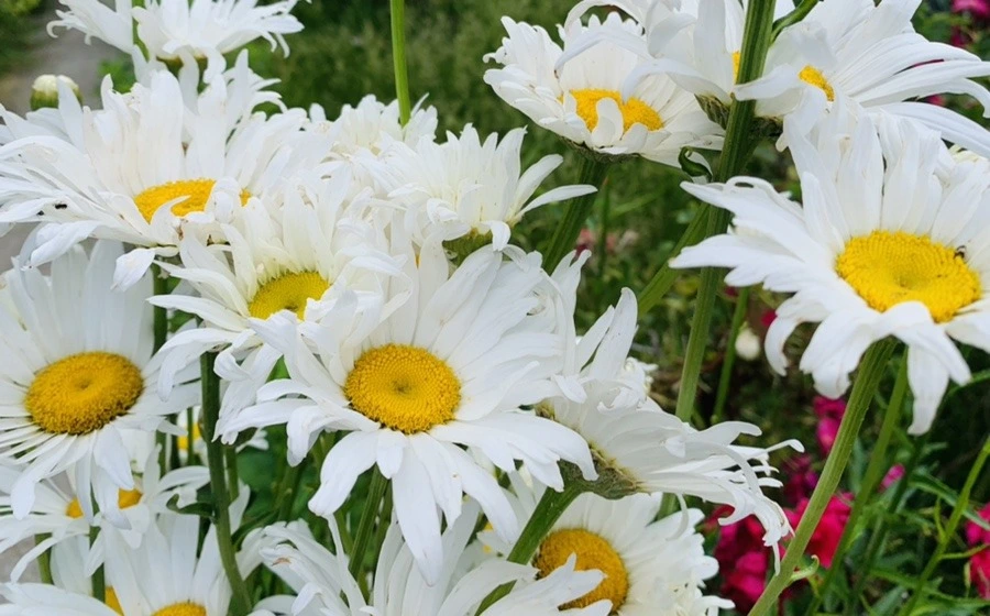 navqD7cBvds0IV5UfRLLKha8Zuw