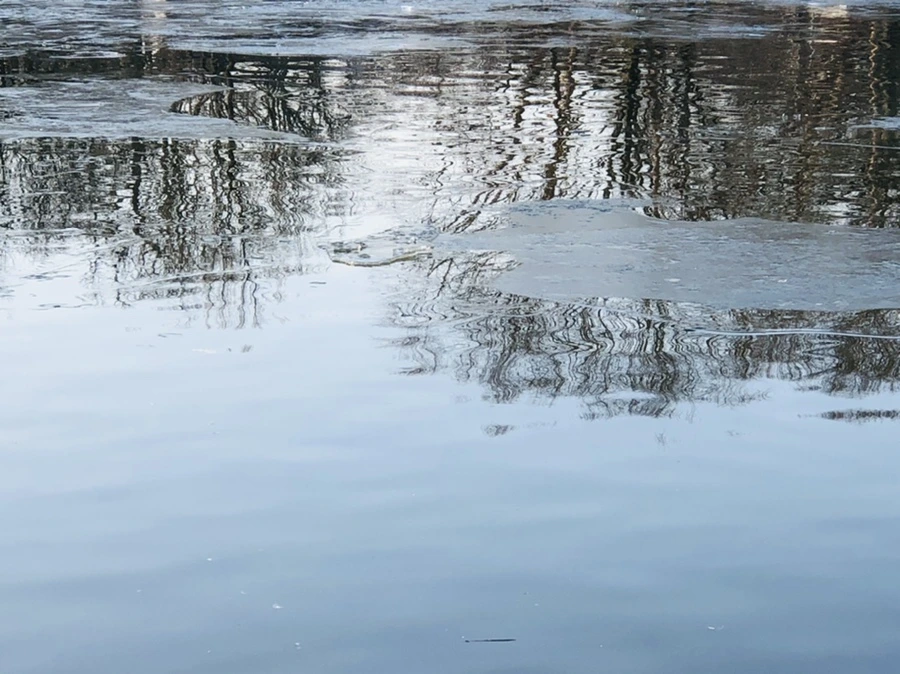 IMG_2659.jpg?type=w966