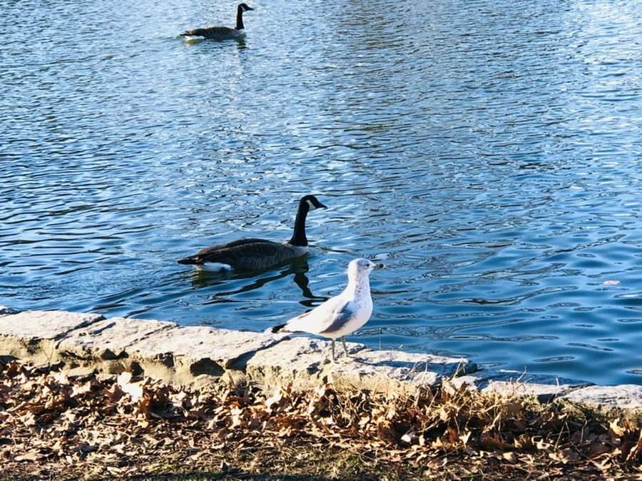 IMG_9313.jpg?type=w966