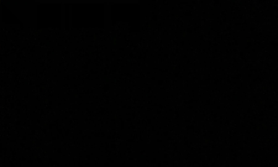 IMG_0146.jpg?type=w966