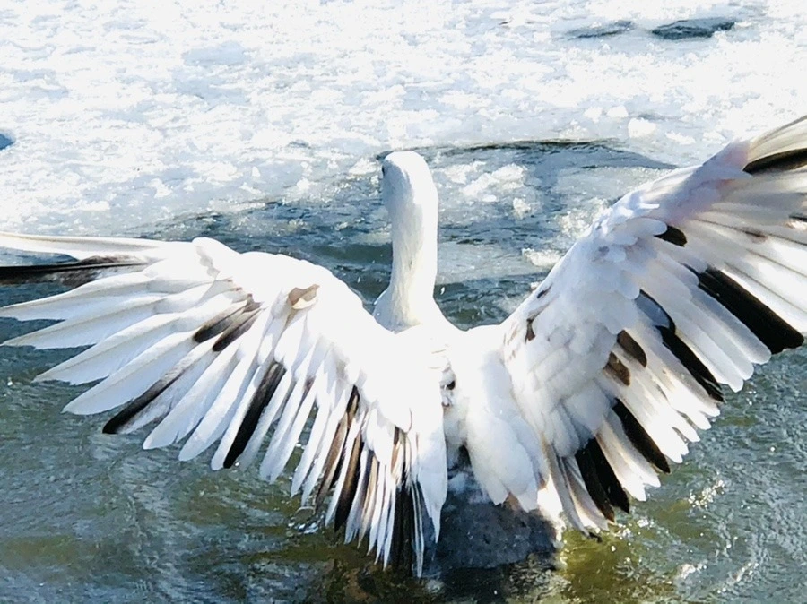 bIwsTLt6nxdx5Qy2aw3fpD878cg