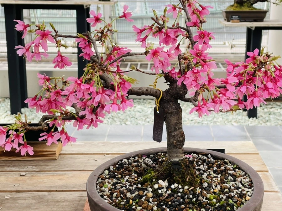 IMG_4181.jpg?type=w966