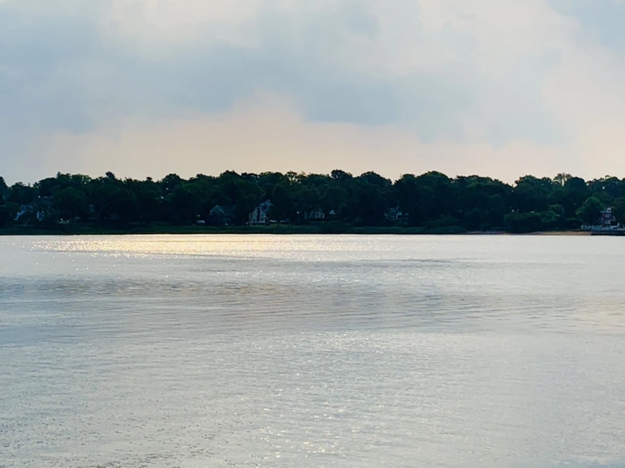 IMG_1603.jpg?type=w966