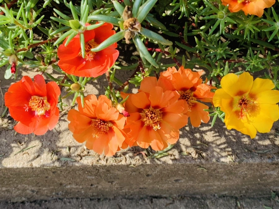 IMG_6701.jpg?type=w966