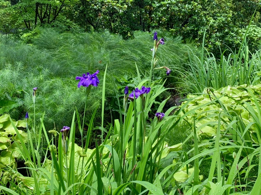 IMG_9586.jpg?type=w966