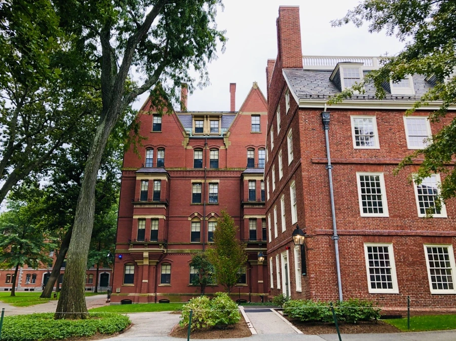 IMG_1010.jpg?type=w966