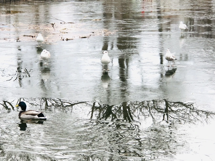 IMG_9020.jpg?type=w966