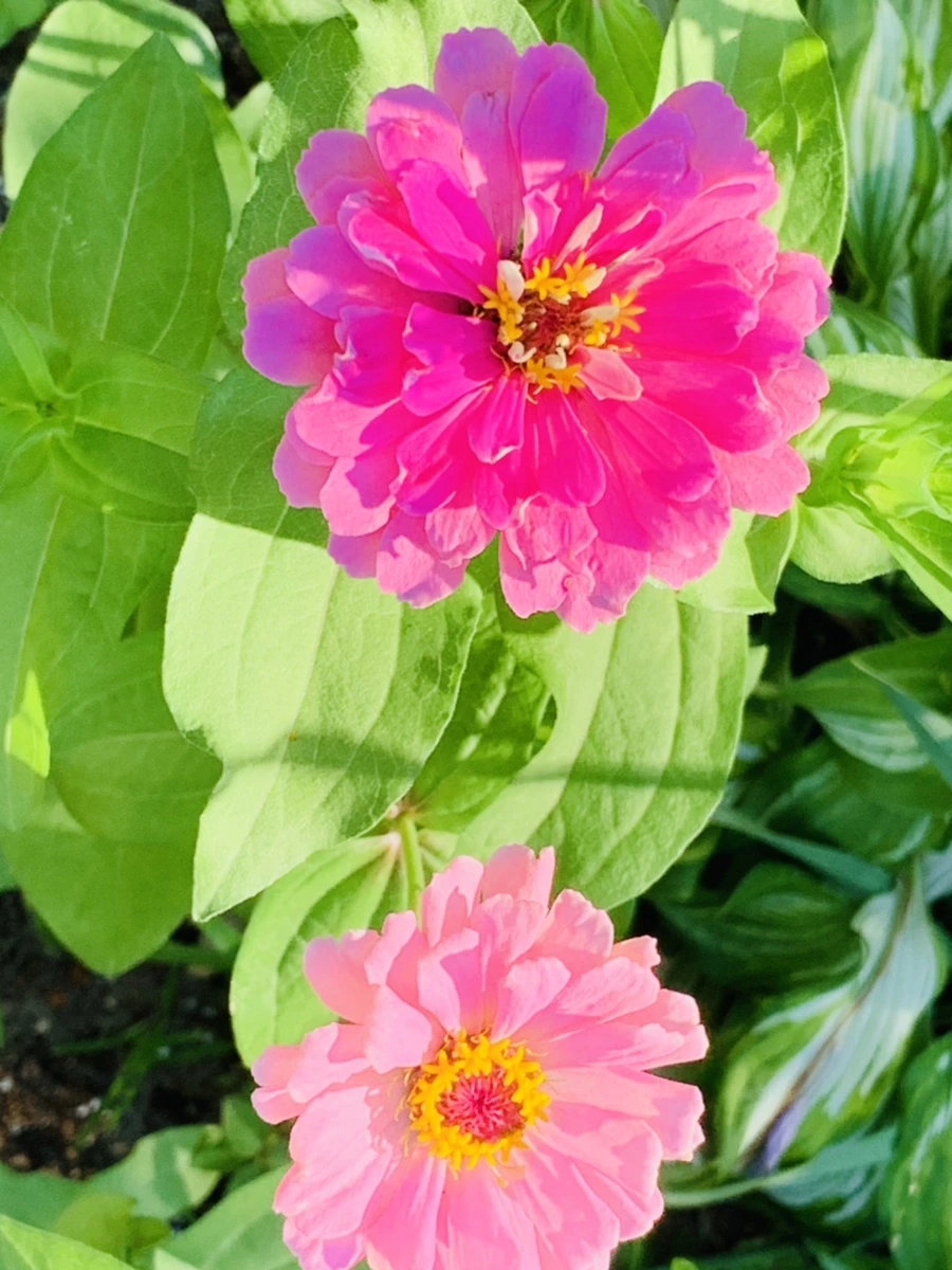 IMG_8723.jpg?type=w966