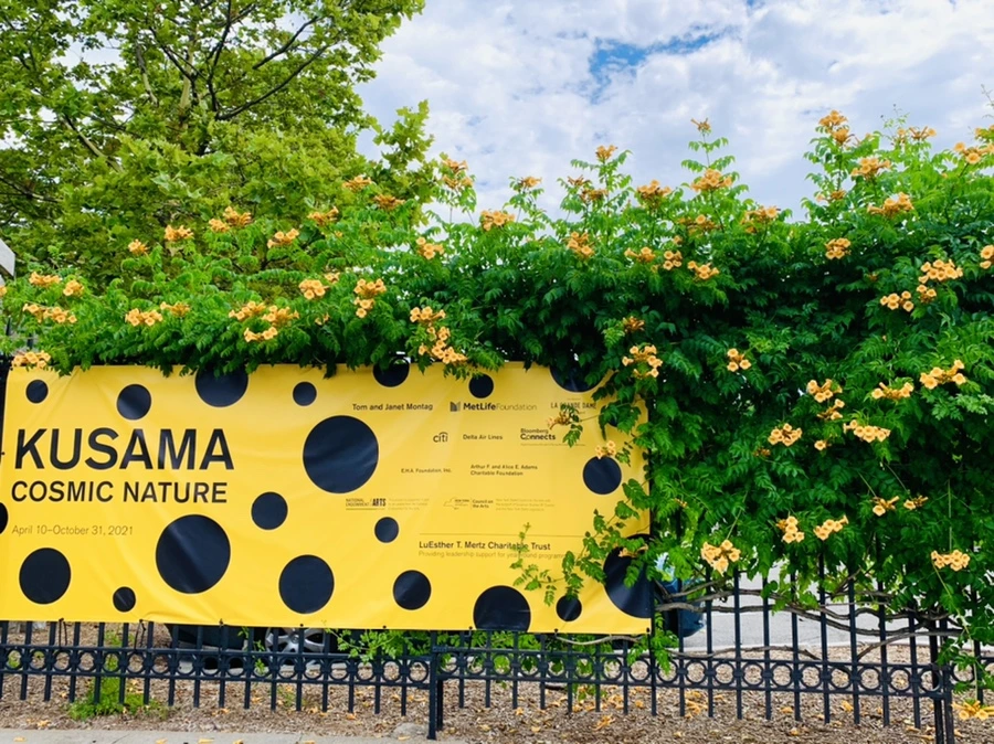 IMG_9156.jpg?type=w966